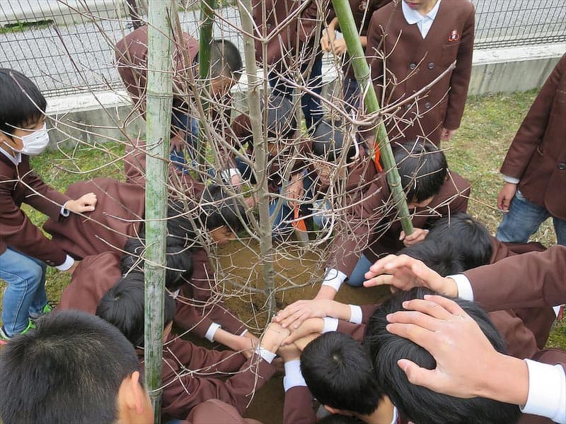 みどりの森事業